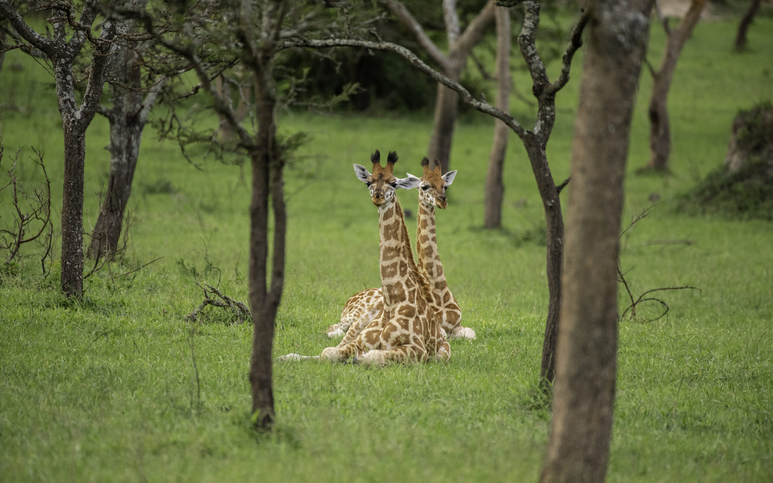 Lake Mburo National Park